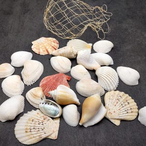May include: A collection of various seashells in shades of white, cream, and peach, including scallop and conch shells. A beige fishing net is in the background. The shells are arranged on a dark gray surface.