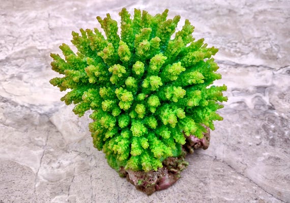 Green FAUX Table Coral Acropora Hyacinthius (1 FAKE Coral approx. 5Wx6Dx4T) Poly Resin Table Coral Replica for fish aquariums & tanks!