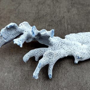 May include: A light blue coral branch with a porous texture. The coral is a natural material and has a delicate, intricate design.