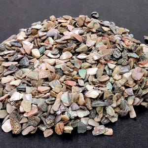 Abalone Seashell Chips Tumbled (Approx. 1 pound +/-900 chips 0.25+ inches) Bulk Small Iridescent Abalone shell pieces for arts & crafts!