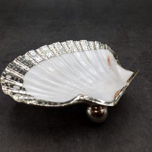 May include: A white seashell with a silver rim and a pearl-like base. The shell is decorated with small silver dots.