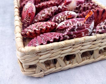 May include: A woven basket filled with various seashells. The shells are primarily a deep burgundy color with white and brown patterns. The basket is made of a light tan woven material.