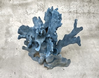 Blue Ridge Coral Cluster (1 coral 7-8+ inches) Perfect coral cluster for any coastal collection or fun artistic display!