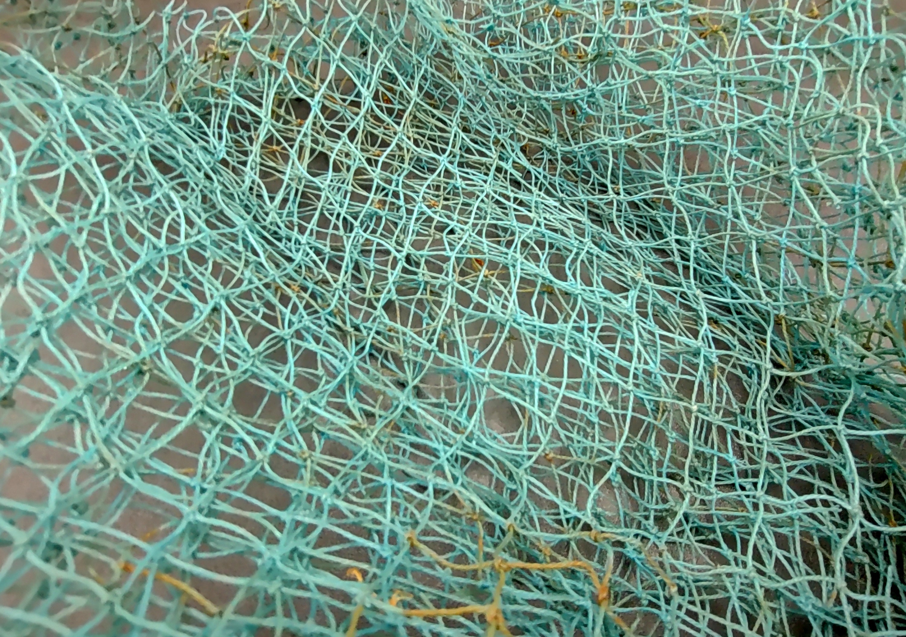 Blue Green Fishing Net 1 Net Approx. 4 Feet by 9 Feet 