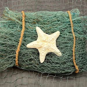 Blue Green Fishing Net Recycled Commercial (1 net approx. 4x10+ feet) Sustainable Clean Used Teal Fish Netting for decoration & parties!