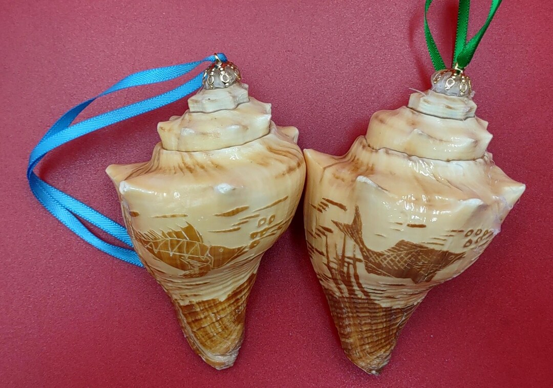 Carved Conch Seashell Ornament (2 Shells Approx. 2+ Inches) Beautiful ...