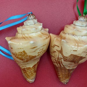 Carved Conch Seashell Ornament (2 shells approx. 2+ inches) Beautiful ornament for any gifting or adding to the holidays!