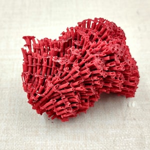 Light Red Pipe Organ Coral Fragment Tubipora Musica (1 coral approx. 2+ inches) B GRADE Reddish Coral Chunk Piece for crafts & decoration!