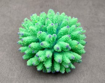 Green FAUX Finger Coral - Acropora Nasuta - (1 FAUX Coral approx. 4Wx3Tx4D inches)