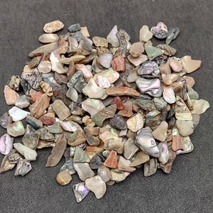 Abalone Seashell Chips Tumbled (Approx. 0.25 cup +/-180 chips 0.25+ inches) Bulk Small Iridescent Abalone Shell pieces for arts & crafts!