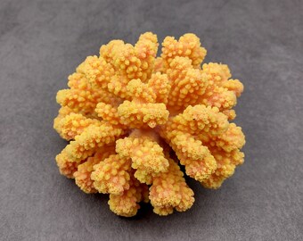 Yellow Faux Coral Cluster Pocillopora Elegans (1 FAKE Coral approx. 5Wx3Dx4T)