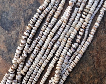 Tiger Puka Shell Strand - (16-inch strand, 4-6mm puka beads)