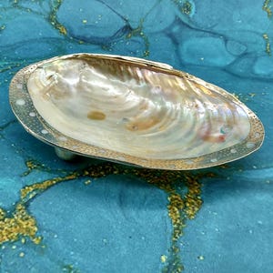 May include: A large, iridescent seashell dish with a silver-colored rim and a small, round foot. The shell's interior displays a pearlescent sheen with hints of yellow and pink. The dish is set against a blue and gold background.