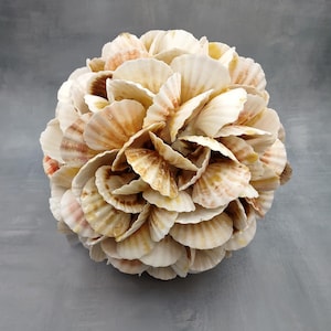 May include: A spherical decorative object constructed from numerous overlapping scallop shells. The shells are arranged in a dense, layered pattern, displaying natural variations in color ranging from creamy white to light tan and soft brown hues.