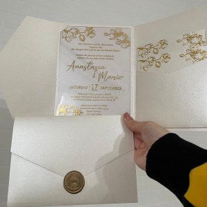 Hochzeitseinladung Acryl, Klare Acryleinladung, Hochzeitseinladungs-Set, Hochzeitseinladung, Elfenbein Perlmutt Taschenumschlag
