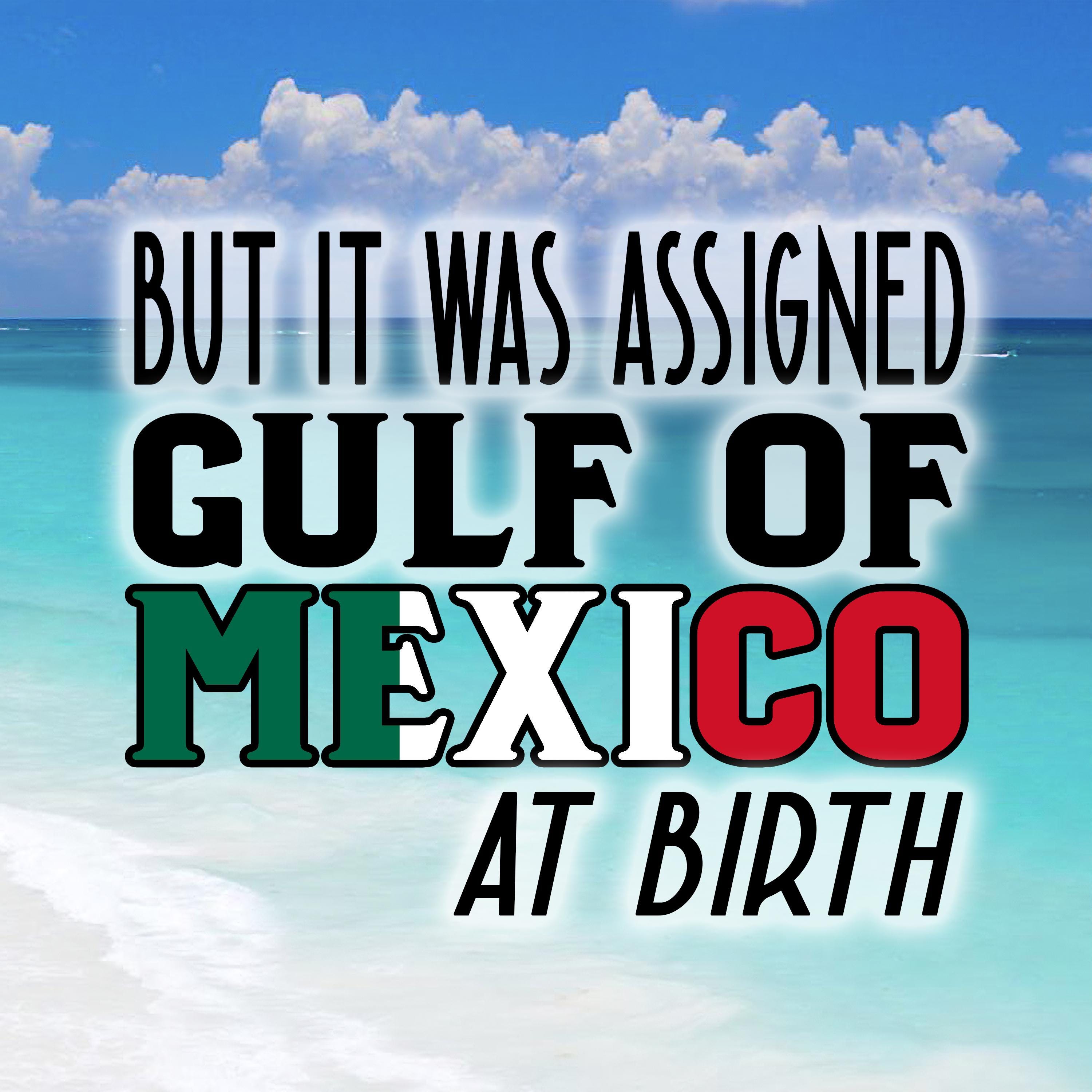 Gulf of Mexico Funny Magnet: Humorous Gender Identity (2x2" MDF)