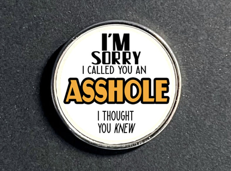 I'm Sorry I Called You An A-Hole. I Thought You Knew - Pin