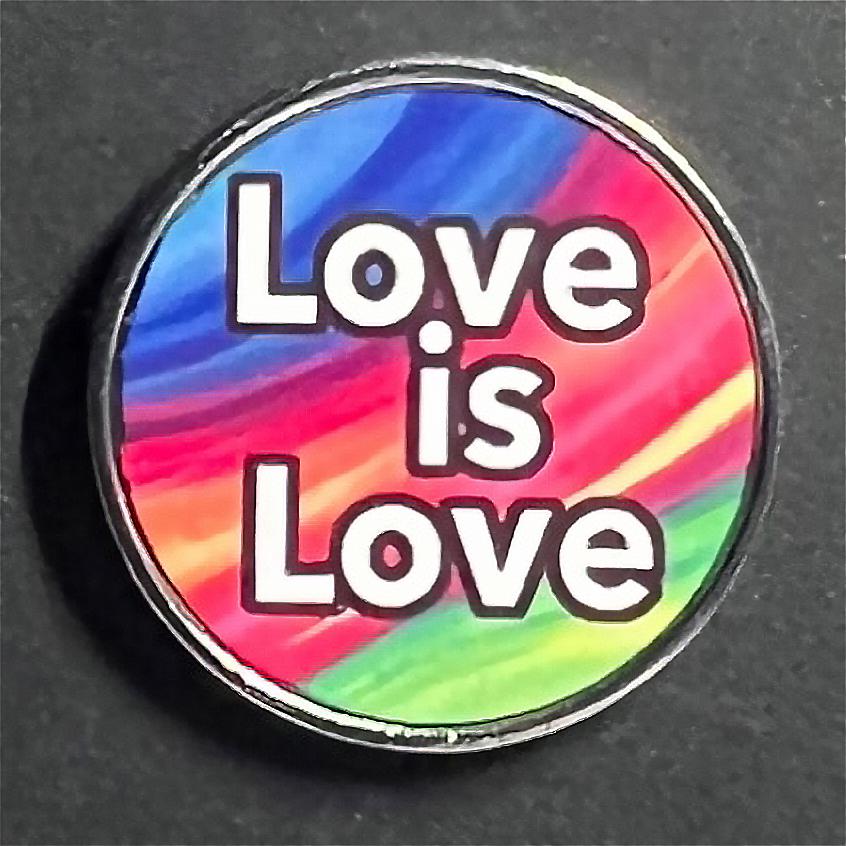 Love is Love LGBTQIA+  - Pin - FREE SHIPPING!