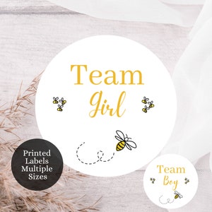 Adesivo per bambini Team Boy Team Girl Gender Reveal, etichetta Gender Reveal, adesivo rosa e blu What Will it Bee Gender Reveal, BB1