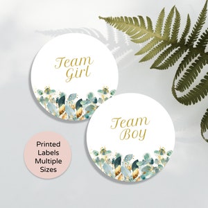 Team Boy Team Girl Gender Reveal Baby Stickers, Fall Gender Reveal Labels, Pink and Blue Eucalyptus Gender, Greenery