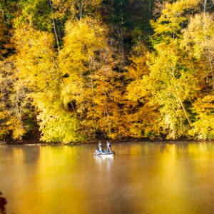 May include: A scenic landscape of a lake surrounded by trees with vibrant yellow and green foliage. A small boat with two people is in the center of the lake. The water reflects the colors of the trees and sky.
