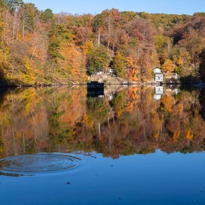West Virginia Autumn Landscape Wall Art: Ripples in the water on the lake