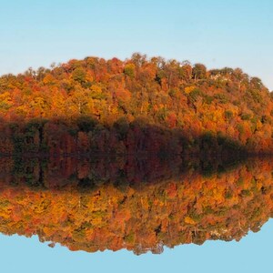May include: A scenic landscape featuring a hillside covered in trees with vibrant autumn foliage. The trees display a mix of red, orange, and yellow hues. The reflection of the trees is visible in the water below, under a clear blue sky.