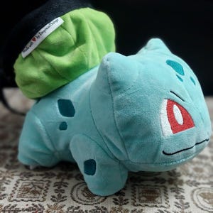 Personalized Plushie Chalk Bag  Custom Rock Climbing Gear, Unique Gift for Climbers, Cute Bouldering & Rock Climbing Accessory