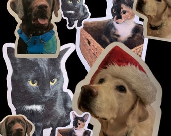 May include: A collection of stickers featuring various animals, including a black cat, a brown and white cat, a brown labrador, and a golden retriever wearing a Santa hat. The stickers are on a black background.