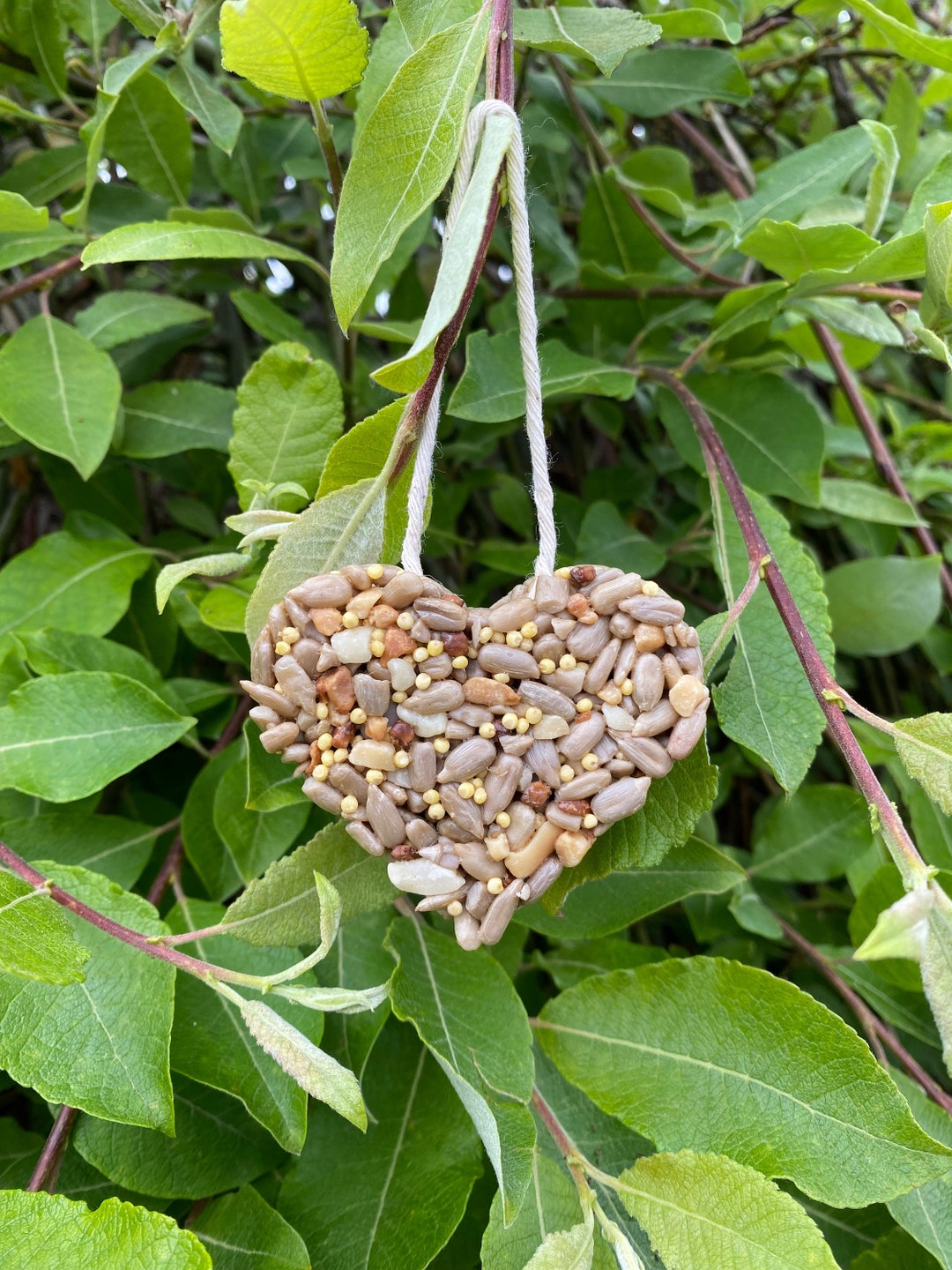 Fillerfree Heart Shaped Bird Seed Treat Ornaments 4 Pack Etsy