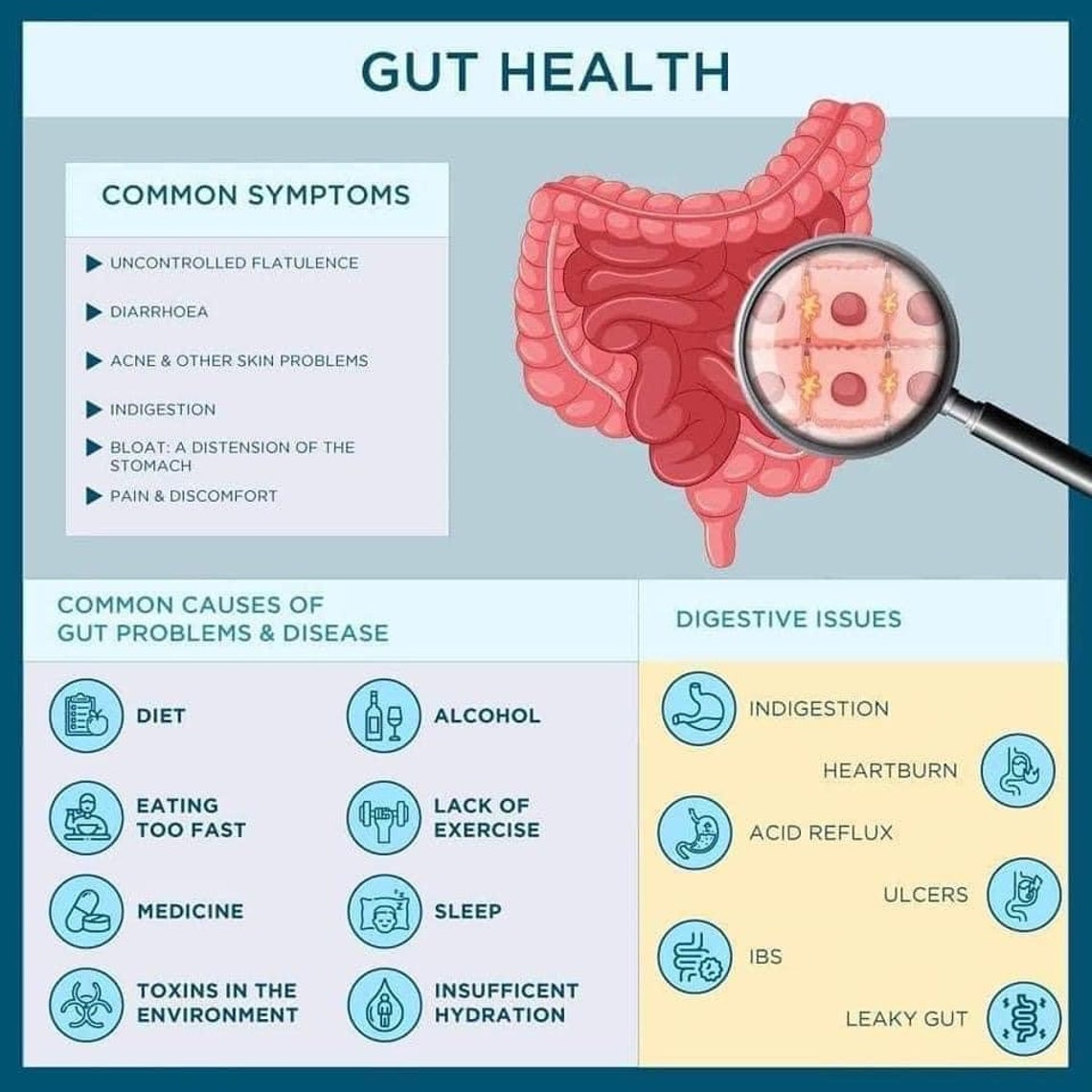 Nu Biome Gut Health Drink Mix Microbiome Probiotics Etsy Canada