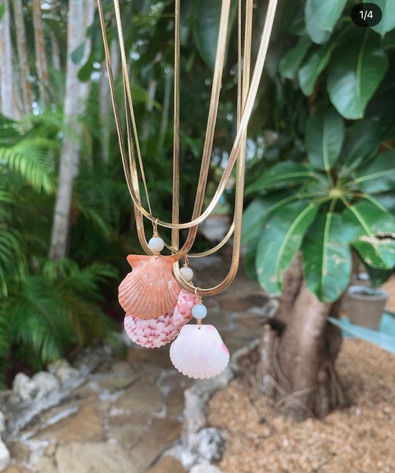 Seashell chain shop