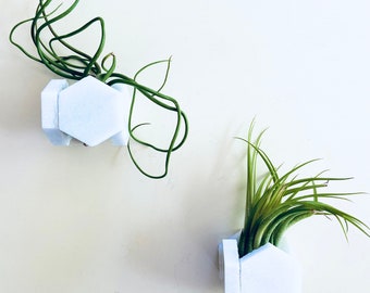 Geometric Stone Air Plant Holder in Marble