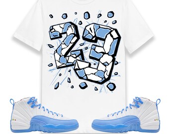 air jordan 12 retro shoes