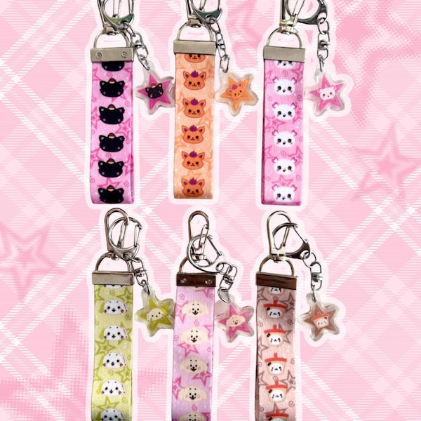 NCT WISH lanyard keychains