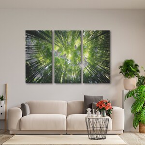 Forest Wall Art 3 Piece Canvas Set, Nature Print Gallery Wall Set, 3 Panel Wall Art, Triptych Canvas Wall Art, Hedge Witch Forest Decor