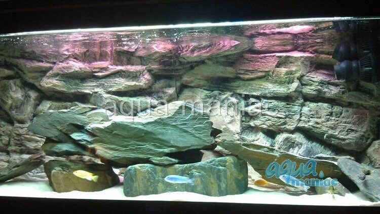 Aquarium Vivarium 3D Rock Background 146x54 Cm From Resin - Etsy