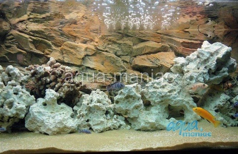 Aquarium Vivarium 3D Rock Background 77x36cm From Resin Easy Etsy