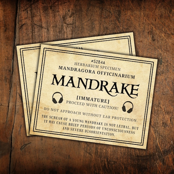 MANDRAKE マンドレイク　フライヤー　チラシ　3枚セット MANDRAKE マンドレイク フライヤー チラシ 4枚セット Donald Lemke