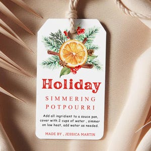 Christmas Stovetop Potpourri - Winter Holiday Simmer Pot Kit - Natural Home Fragrance - Apple Orange Cinnamon - Cozy Housewarming Gift