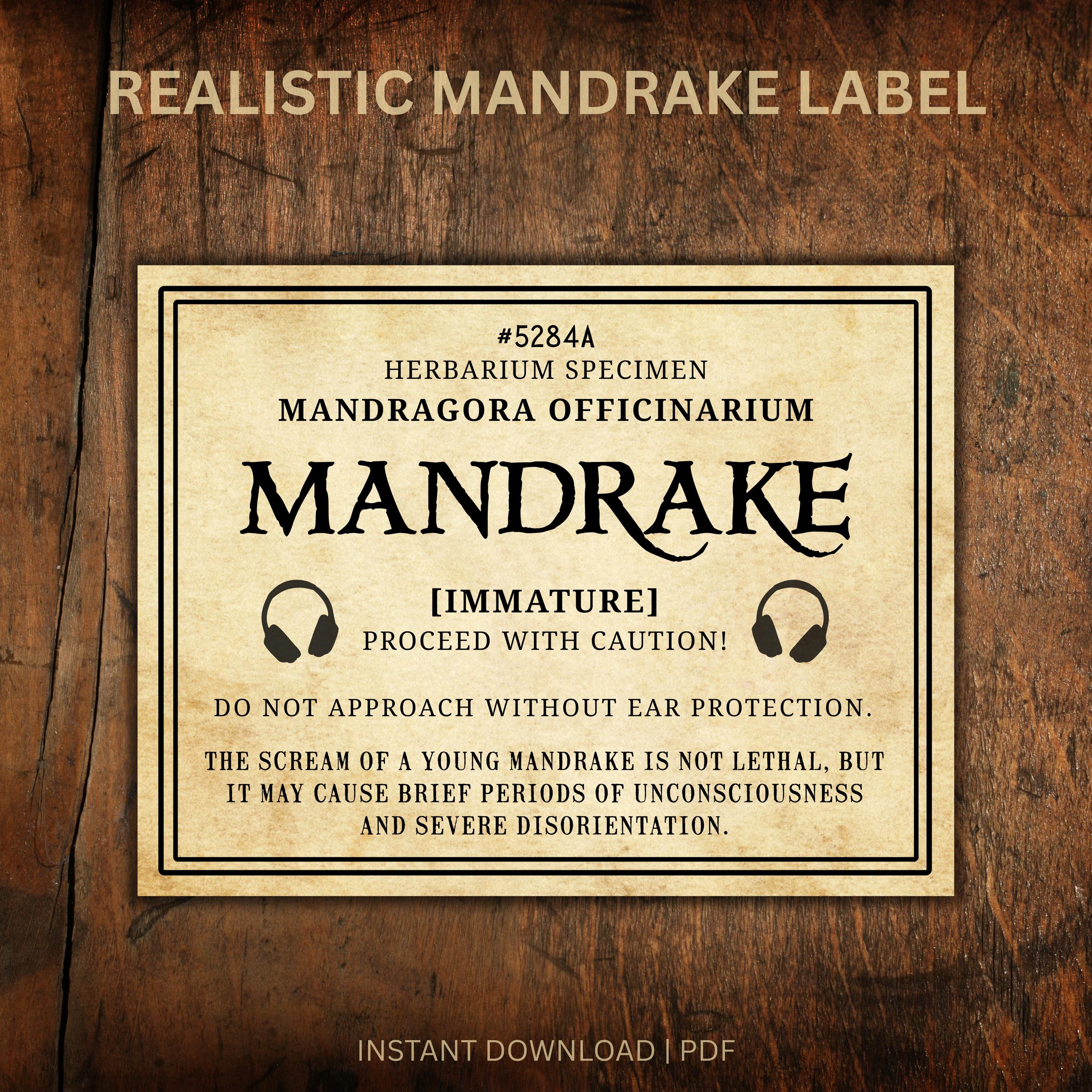 – Label Potion Mandrake Printable マンドレイク　フライヤー　チラシ　４枚セット MANDRAKE Wizard Sticker Herbology コレクション