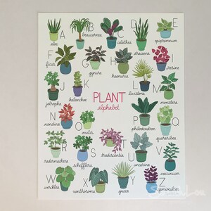 Alfabeto de plantas - Impresión de 11 x 14