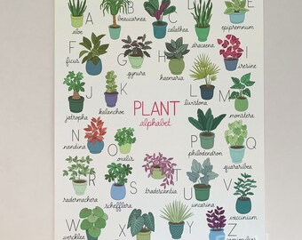 Plant Alphabet - 11x14 Print