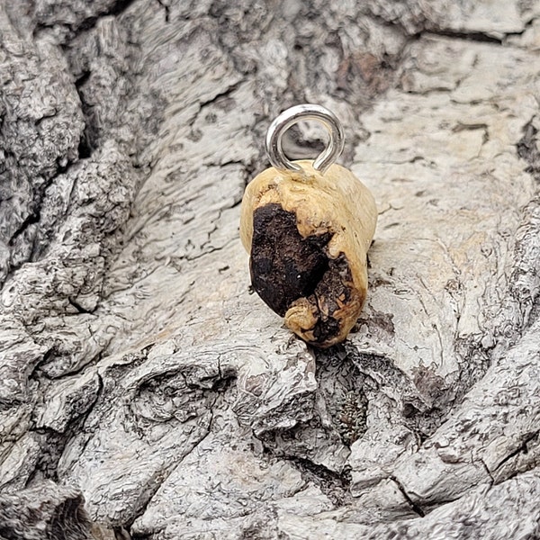 Perla pendente dell'albero, gioielli in legno, fatti a mano, stregoneria