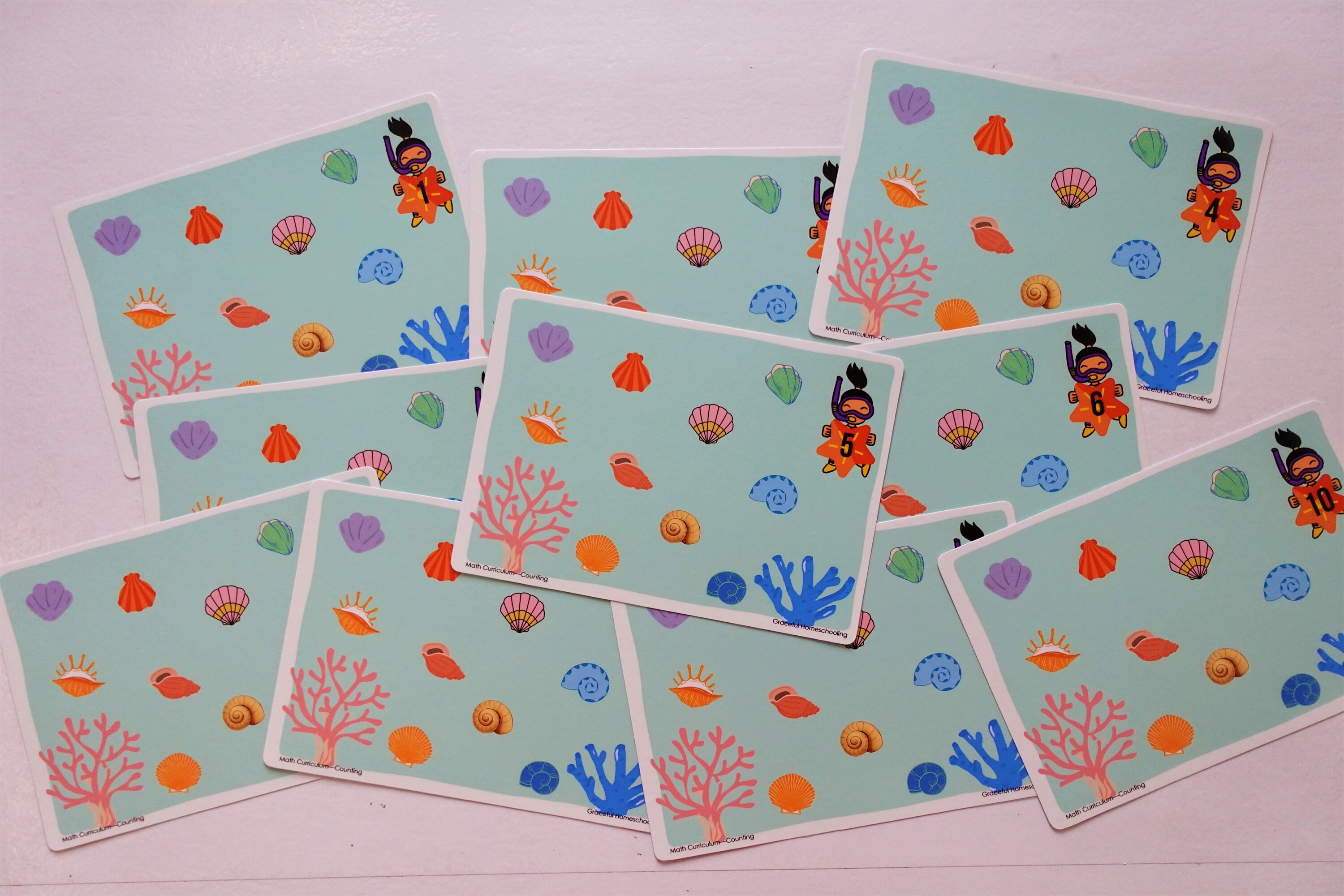 Counting Shells Activity Counting Shells Activity for Preschool, Kindergarten, Classroom ...