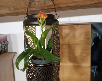 Solar garden lantern for hanging