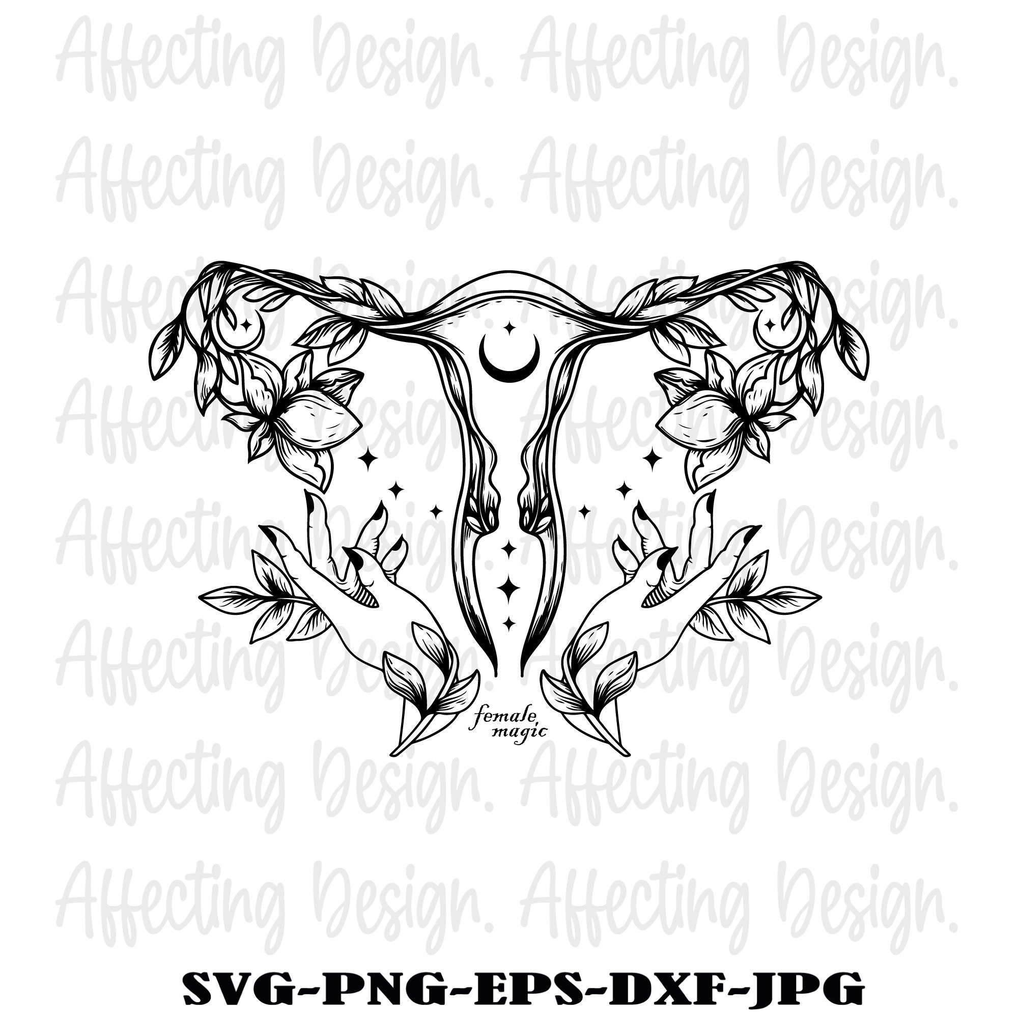 Uterus Illustration 