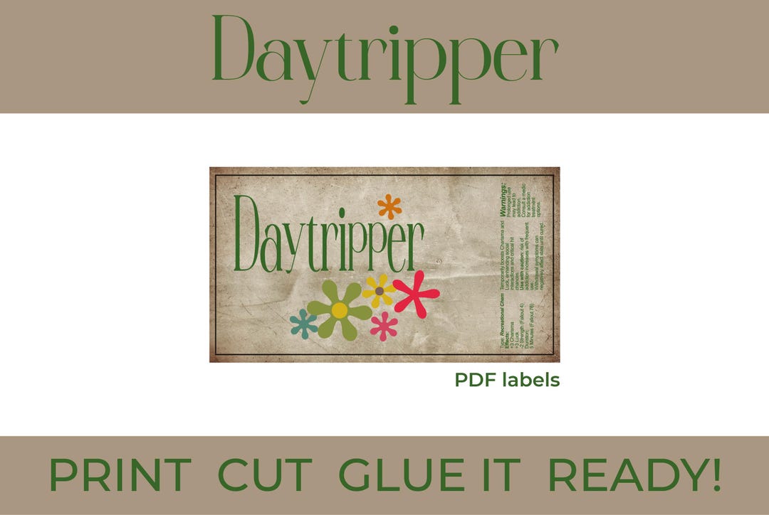 Fallout 4 Daytripper Plastic Bottle Prop Fallout Inspiration Gift for ...