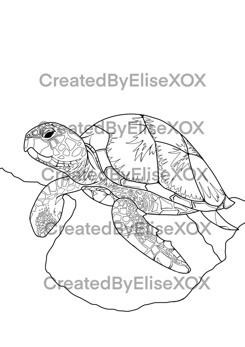 Aquatic Life Printable Coloring Book Kids Adults Teens Color Drawing Art Book Print Sealife ...