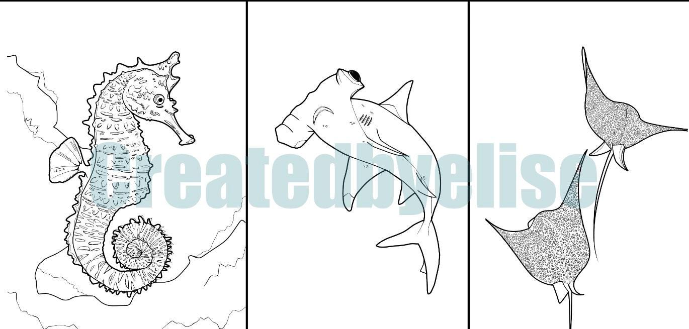 Aquatic Life Printable Coloring Book Kids Adults Teens Color Drawing Art Book Print Sealife ...